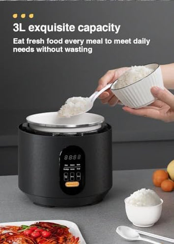 ZOLELE EP301 Multifunctional Electric Pressure Cooker Smart and Convenient 3L Capacity Timer Rice Cooker Digital Display With 10 Preset Cooking Functions, Keep Warm Function & Automatic Shut-Off-Black